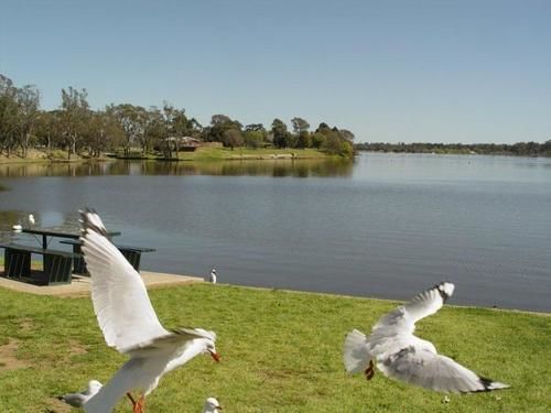 Centre Town Motel Nagambie Buitenkant foto